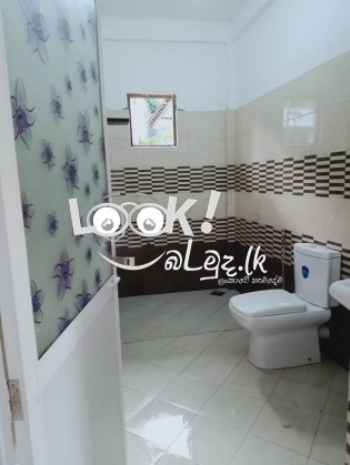 Udana tille constructions