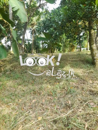 Land for Sale Mirigama , Gampaha 
