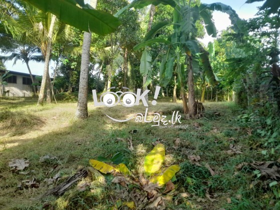 Land for Sale Mirigama , Gampaha 