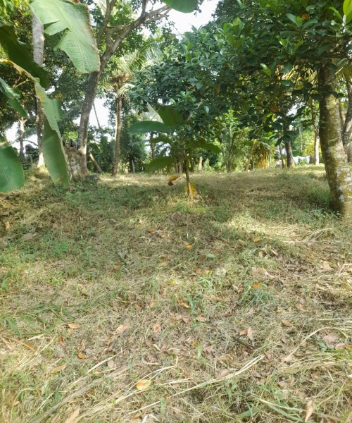 Land for Sale Mirigama , Gampaha 