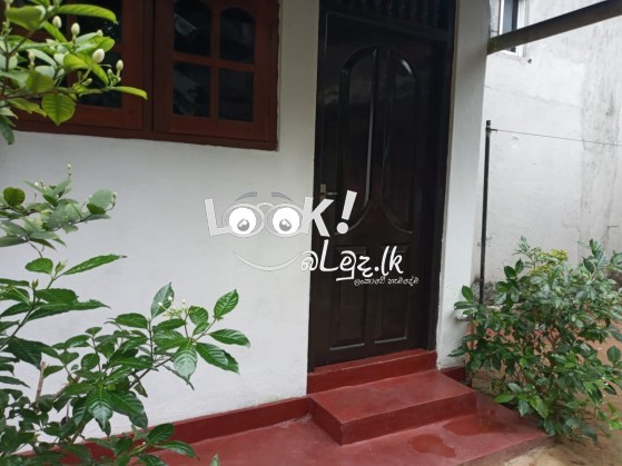 Single House For Rent in Kalubowila 1 Bed Room