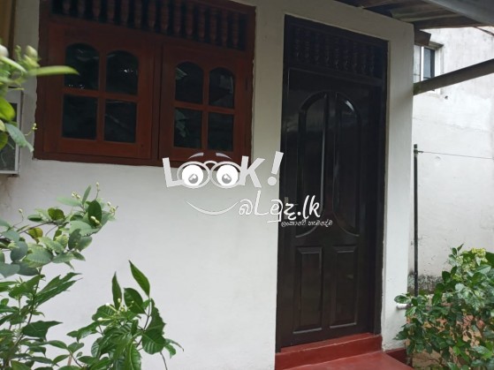 Single House For Rent in Kalubowila 1 Bed Room