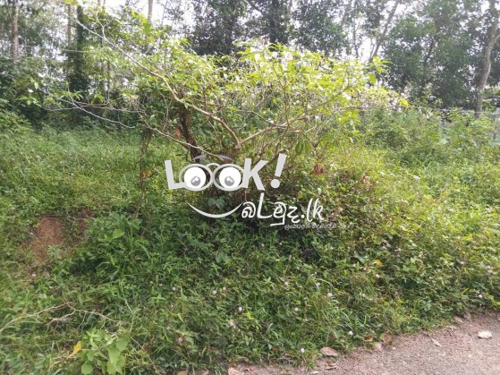 A Land For sell near Kalutara Nagoda general hospital  