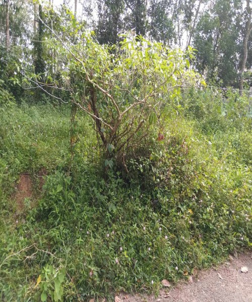 A Land For sell near Kalutara Nagoda general hospital  