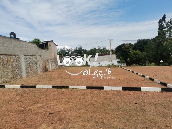 සංවර්ධනය කළ සුපිරි ඉඩමක් - පානදුර 