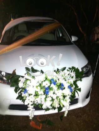 Wedding Car Decorations 