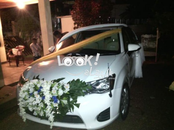 Wedding Car Decorations 