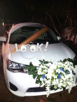 Wedding Car Decorations 