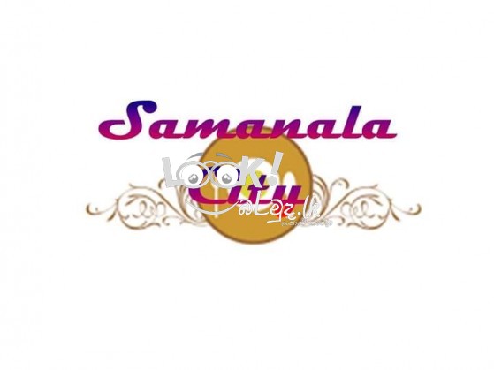 Wedding Car Decorations 