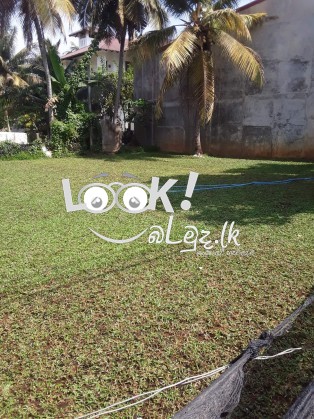 Land For Sale Bopitiya