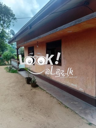 කුරුණෑගල  මිගමුව ප්‍රධාන  පාරට මුහුණ ලා   ඉඩම සහ  නිවස  ක් විකිණී මට
