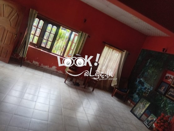 කුරුණෑගල  මිගමුව ප්‍රධාන  පාරට මුහුණ ලා   ඉඩම සහ  නිවස  ක් විකිණී මට