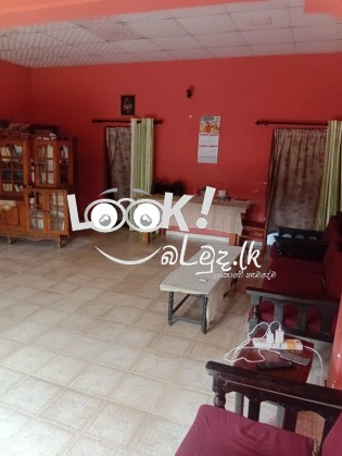 කුරුණෑගල  මිගමුව ප්‍රධාන  පාරට මුහුණ ලා   ඉඩම සහ  නිවස  ක් විකිණී මට