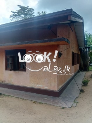 කුරුණෑගල  මිගමුව ප්‍රධාන  පාරට මුහුණ ලා   ඉඩම සහ  නිවස  ක් විකිණී මට