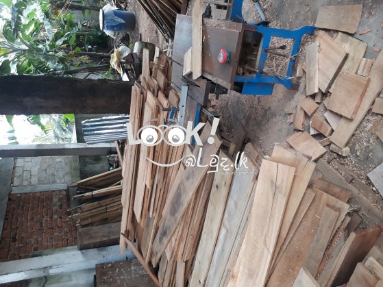 Albisia wood, ඇල්බීසියා ලෑලි