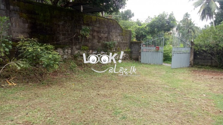 Land For Sale Gampaha 