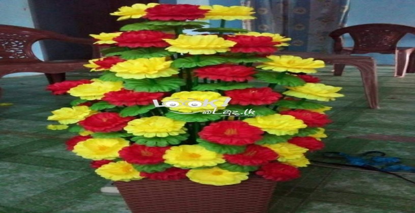 මල් 80 පොකුරු මල් ගහ