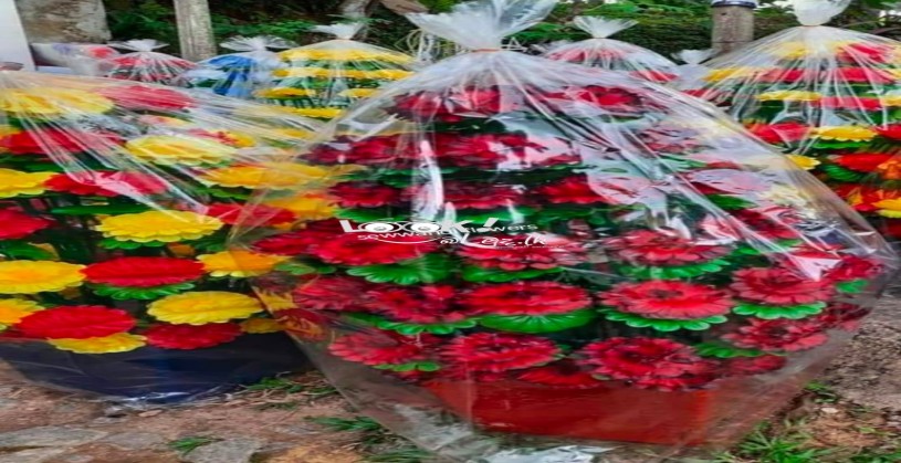 මල් 80 පොකුරු මල් ගහ