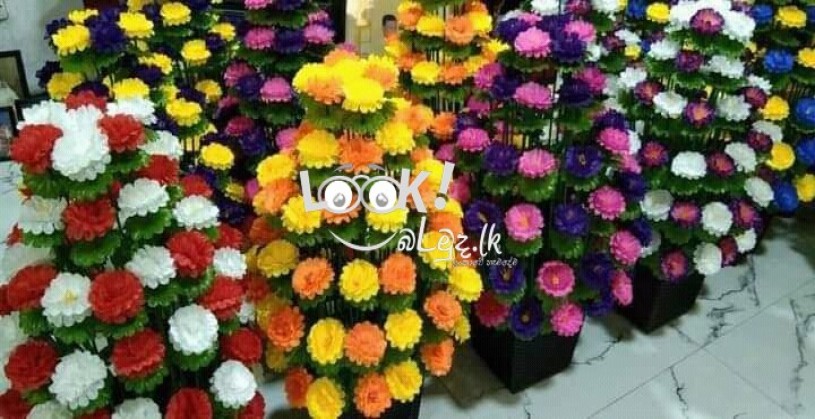 මල් 80 පොකුරු මල් ගහ