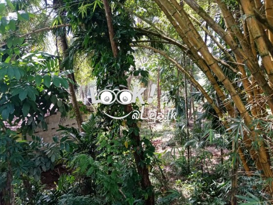 House for Sale YATIYANTHOTA 