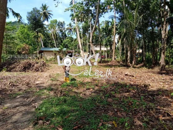 House for Sale YATIYANTHOTA 