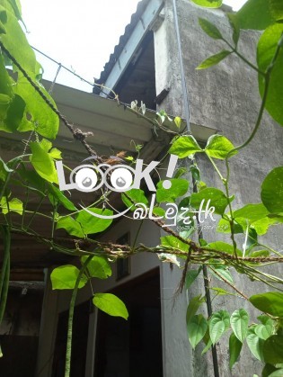 ⁣ඉතා ⁣ඉක්මණින් විකුණනු ලැබේ