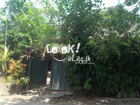 ⁣ඉතා ⁣ඉක්මණින් විකුණනු ලැබේ