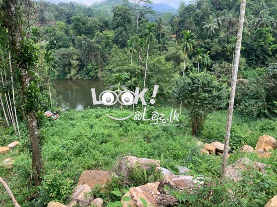 සුන්දර කැළණි ගගට මායිම්ව අක්කර 5ක්