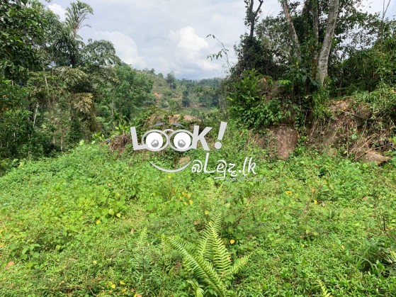 සුන්දර කැළණි ගගට මායිම්ව අක්කර 5ක්