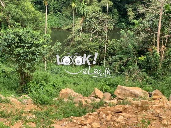 සුන්දර කැළණි ගගට මායිම්ව අක්කර 5ක්