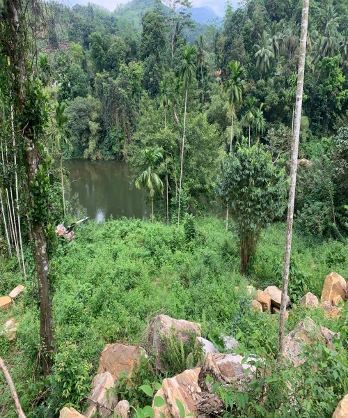 සුන්දර කැළණි ගගට මායිම්ව අක්කර 5ක්