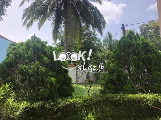 Villas for sale in Wennappuwa 