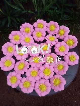 විසිතුරු මල්