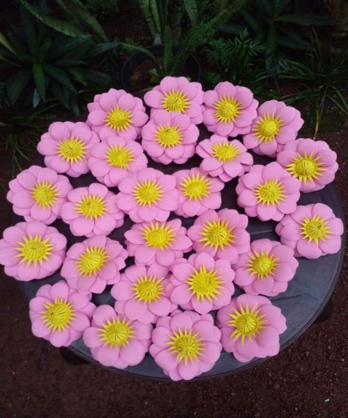 විසිතුරු මල්