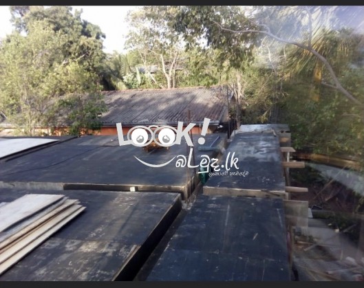 Concrete Satalin ANURADHAPURA 