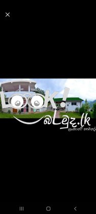 VICTORIA GUEST  Bandarawela