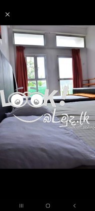 VICTORIA GUEST  Bandarawela