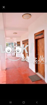 VICTORIA GUEST  Bandarawela