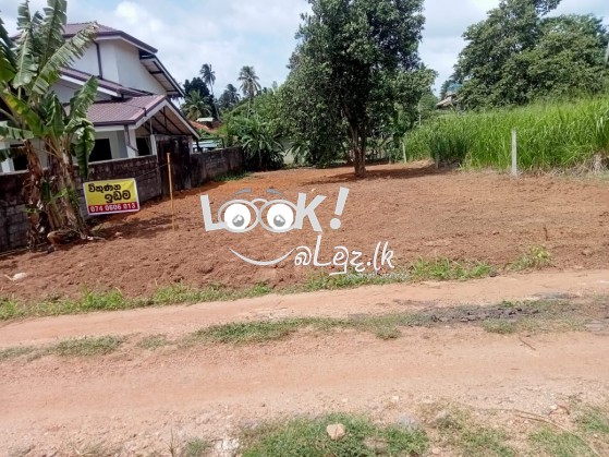 කුලියාපිටිය පන්නල මහා මාර්ග යට මීටර් 50 ක දුරින් පිහිටි පර්චස් 17 ක ඉඩම විකිණීමට ඇත .