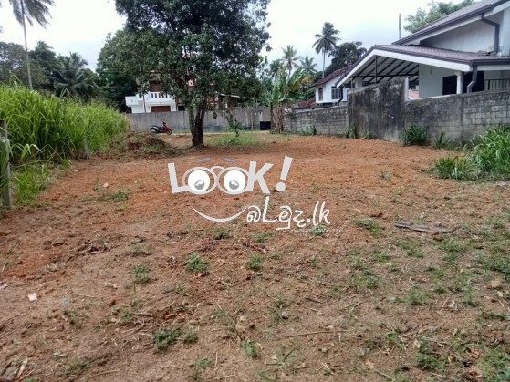 කුලියාපිටිය පන්නල මහා මාර්ග යට මීටර් 50 ක දුරින් පිහිටි පර්චස් 17 ක ඉඩම විකිණීමට ඇත .