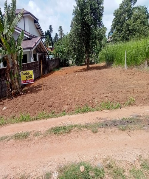 කුලියාපිටිය පන්නල මහා මාර්ග යට මීටර් 50 ක දුරින් පිහිටි පර්චස් 17 ක ඉඩම විකිණීමට ඇත .