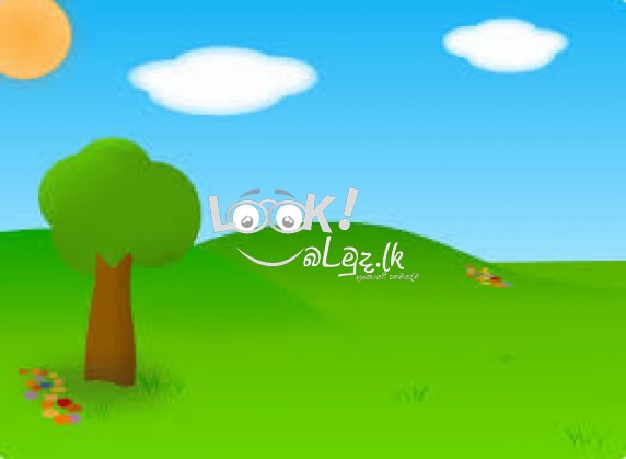 WANTED LAND in Kottawa