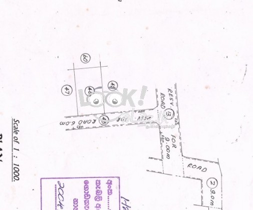 ? 293 හෝමාගම හංවැල්ල මාර්ගයේ අගනා පර්චස් 10 ක ඉඩමක් විකිණීමට ඇත. ජල්තර ලංකා ටයිල් ඉදිරිපිට.