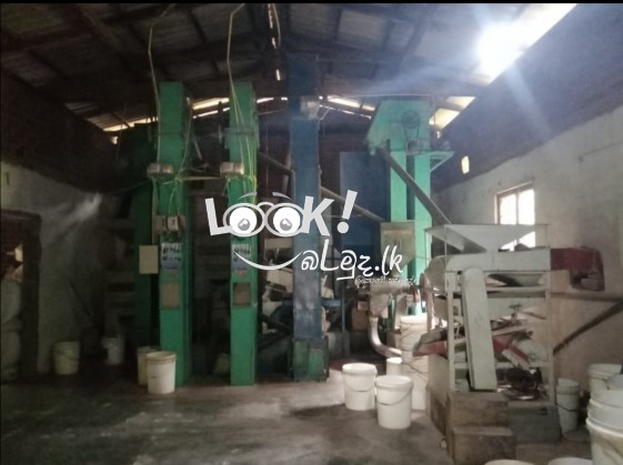 ප්‍රදීපා සහල් 