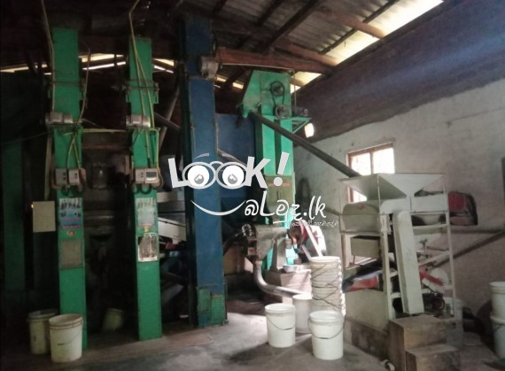 ප්‍රදීපා සහල් 