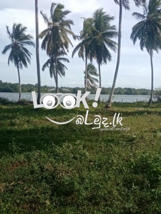 Land for hotel or camp site