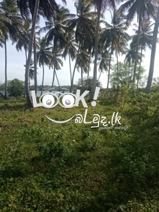 Land for hotel or camp site