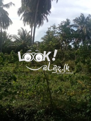 Land for hotel or camp site