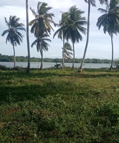 Land for hotel or camp site