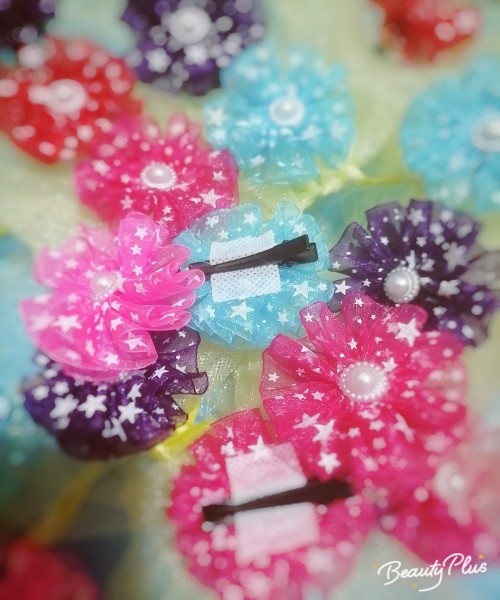 #hairbnds #hairclips #hairbulls